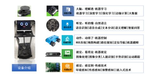 一睹為快 實(shí)驗(yàn)室再度上新，探索人工智能通用應(yīng)用系統(tǒng)的新前沿